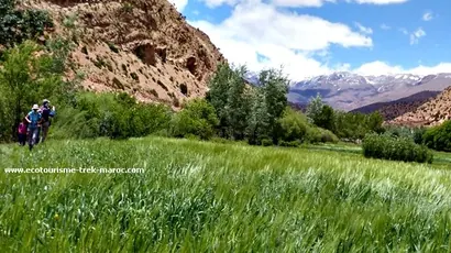 randonnée Vallée des roses Maroc au sud du Massif M’goun en 6 jours