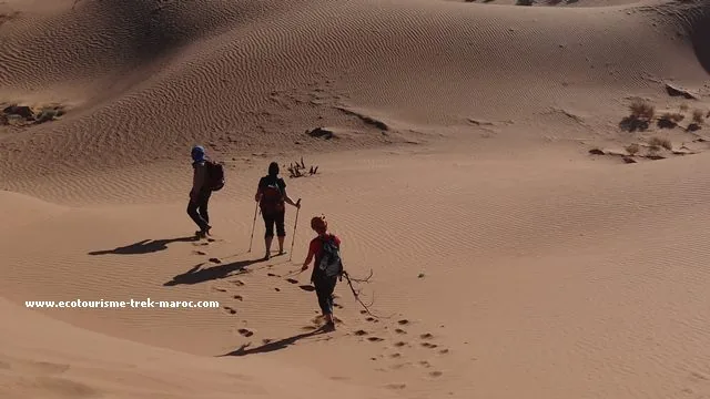 Randonnée Saghro et vallée de Draa en 10 jours
