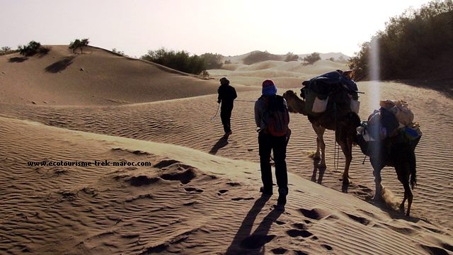 Trek et randonnée désert Maroc