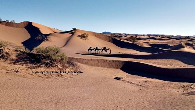 Une tempête de sable lors de votre trek désert Maroc. Que faire?