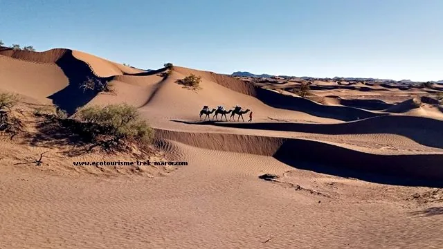 Trek désert du sud marocain en 5 jours