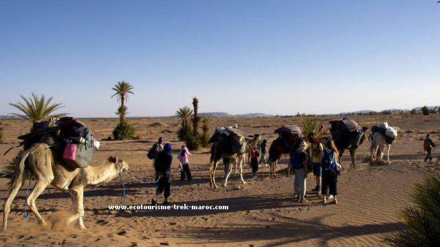 Trek en famille désert Maroc