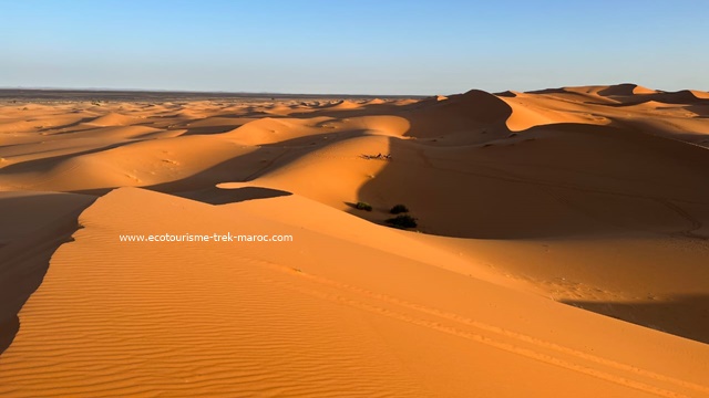 Trekking dans le désert Maroc