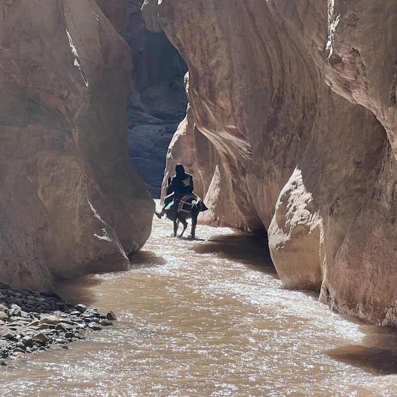 Previous Expeditions – photo 7