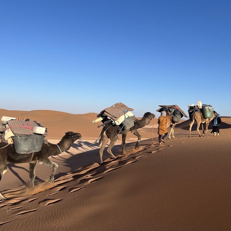 Previous Expeditions – photo 18
