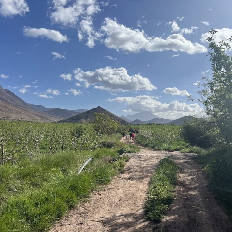 Previous Expeditions – photo 21