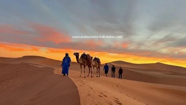 Trek Dunes de Chegaga M’hamid en 6 Jours