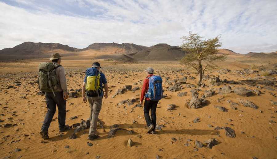 Trekking désert Djebel Zireg