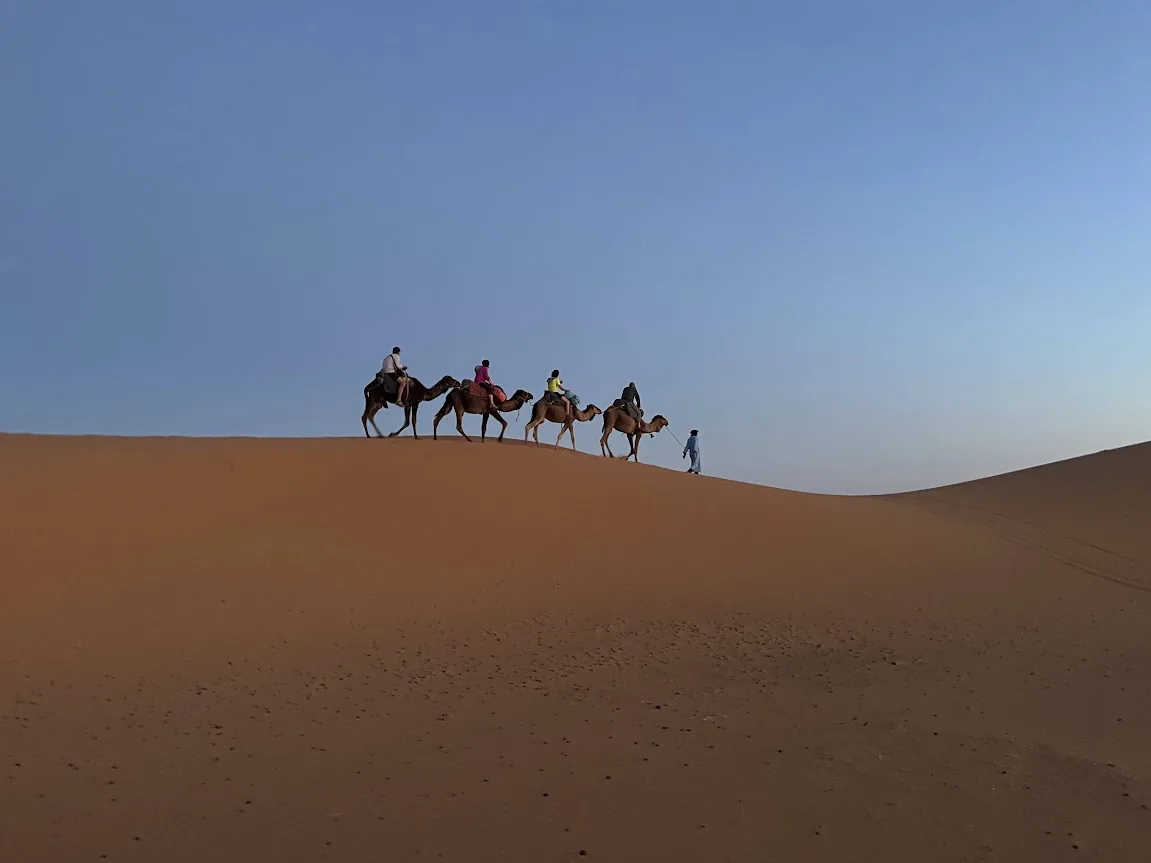 Trek M’Goun et dunes de Merzouga : du Haut Atlas au désert du Sahara en 5 jours