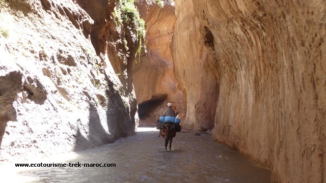 Les gorges du Mgoun Les gorges du Mgoun