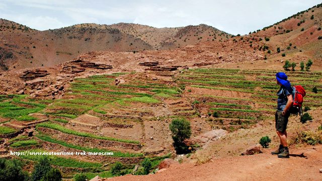 Rando Haut Atlas Toubkal en 5 jours