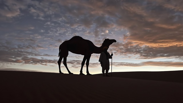 trek-dunes-de-chegaga-mhamid.jpg