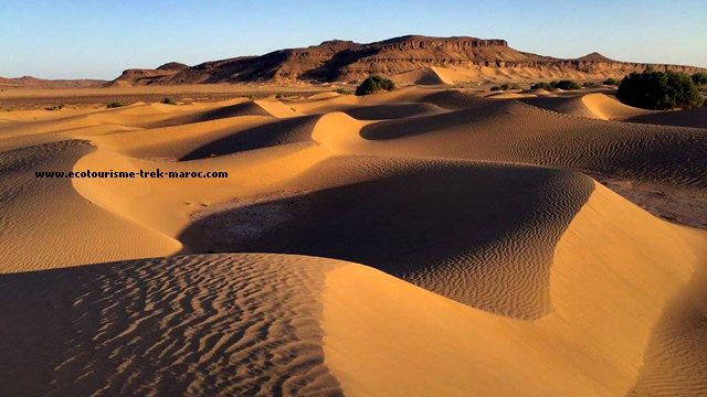 Trekking dans le désert du Maroc