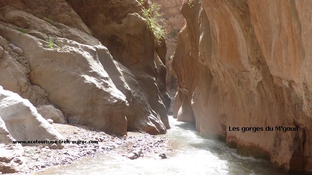 Trek gorges du Mgoun Trek gorges du Mgoun