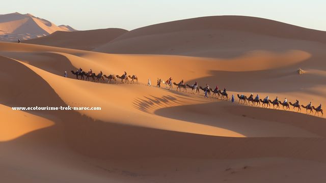 Voyages combinés – photo 1