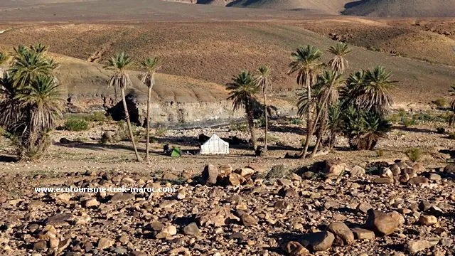 conseils pour débutants au trek au désert marocain