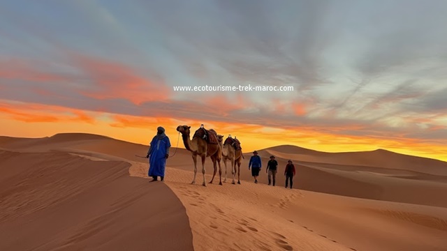 Trek Chegaga Mhamid 6 jours