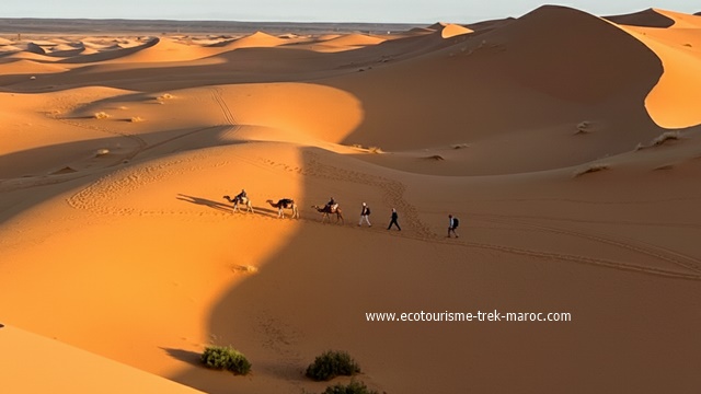 Trek Dunes de Chegaga M'hamid